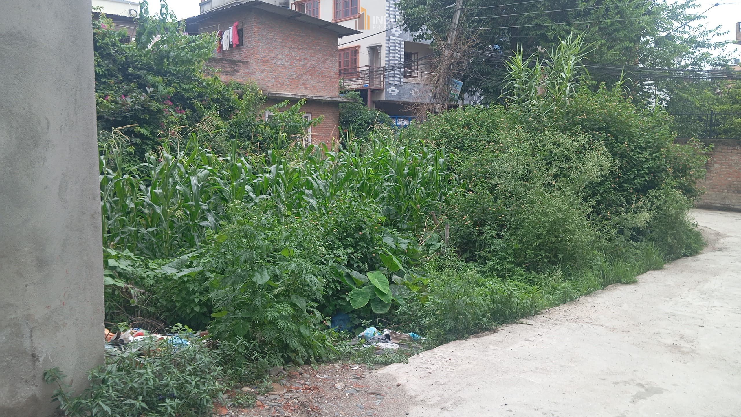 Picture of Mahalaxmi Municipality, Bagmati